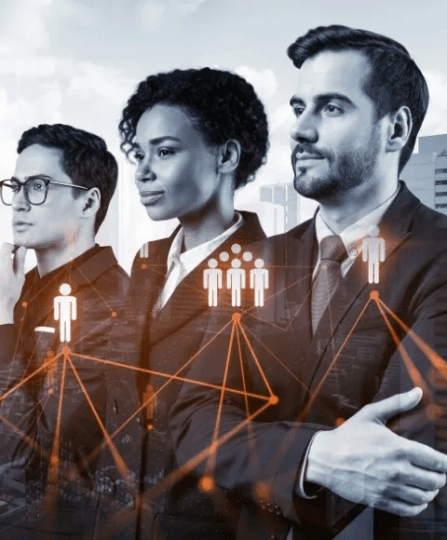 Professional Services IT Services