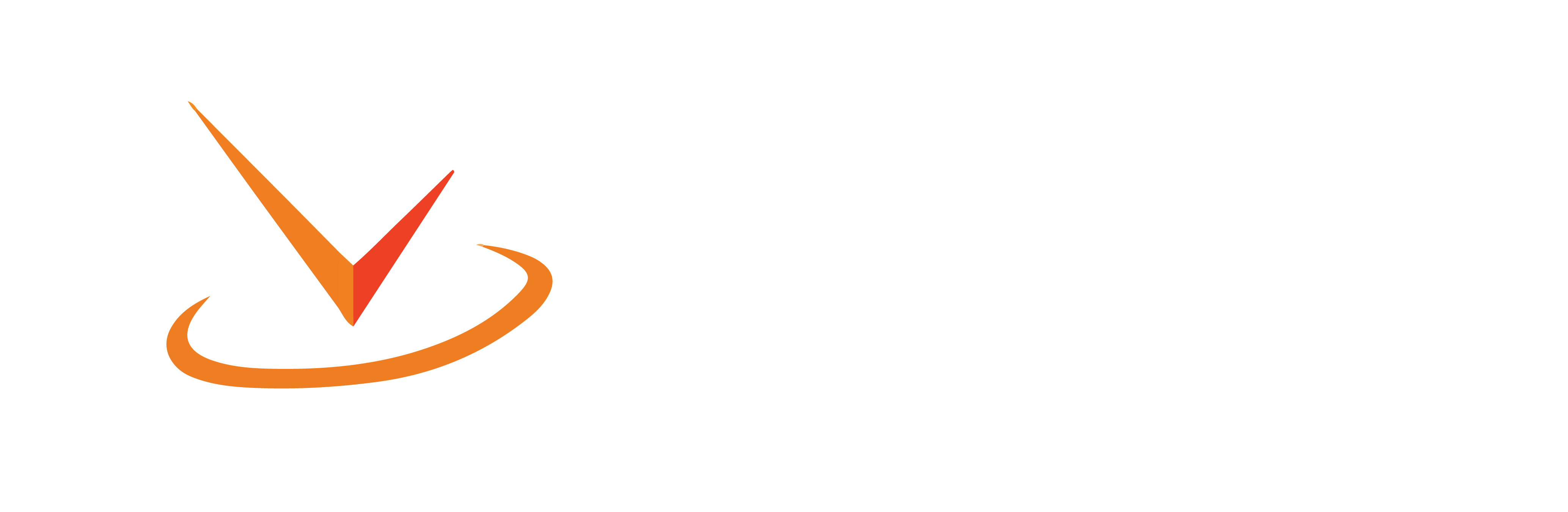 Vionsys Logo