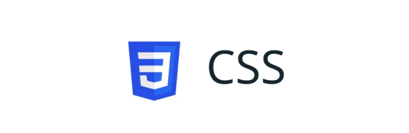 csd-frontend-5