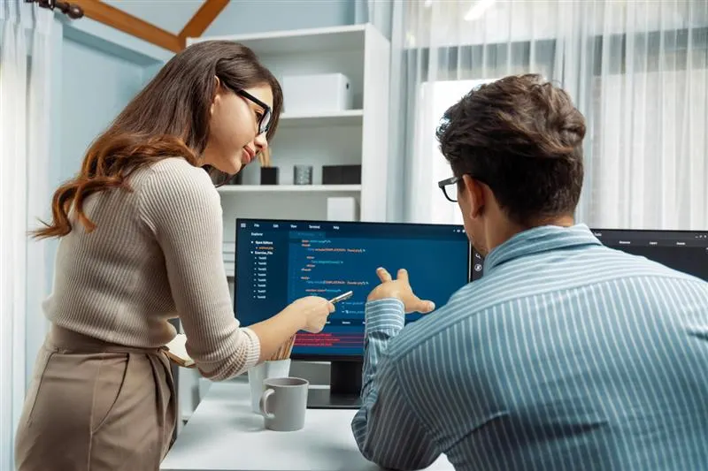 Custom Software Partner